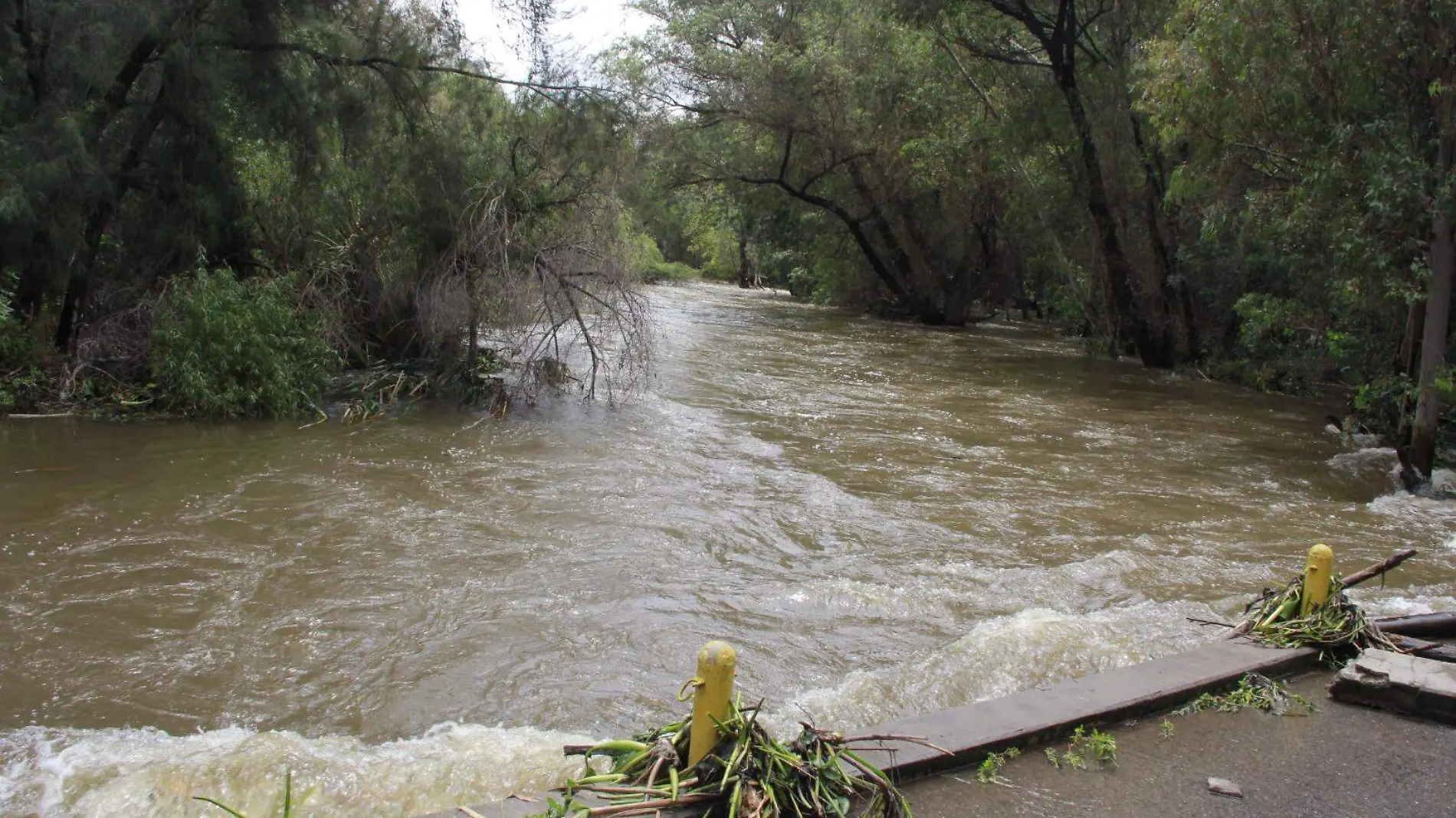 Presa de san josé 